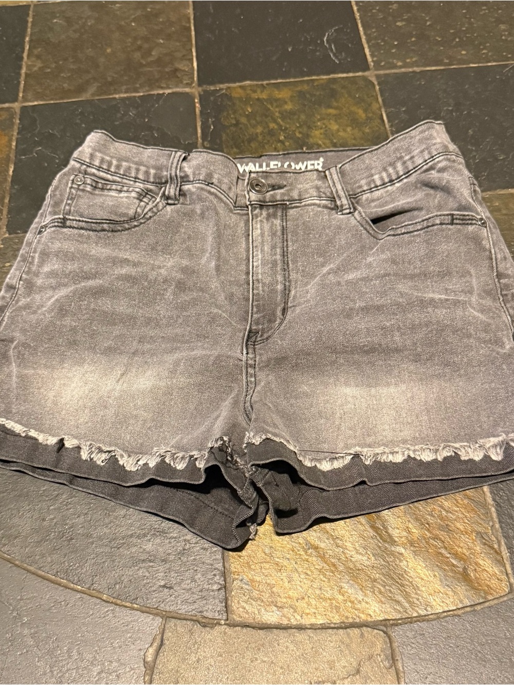 Wallflower Gray Frayed Hem Denim Shorts